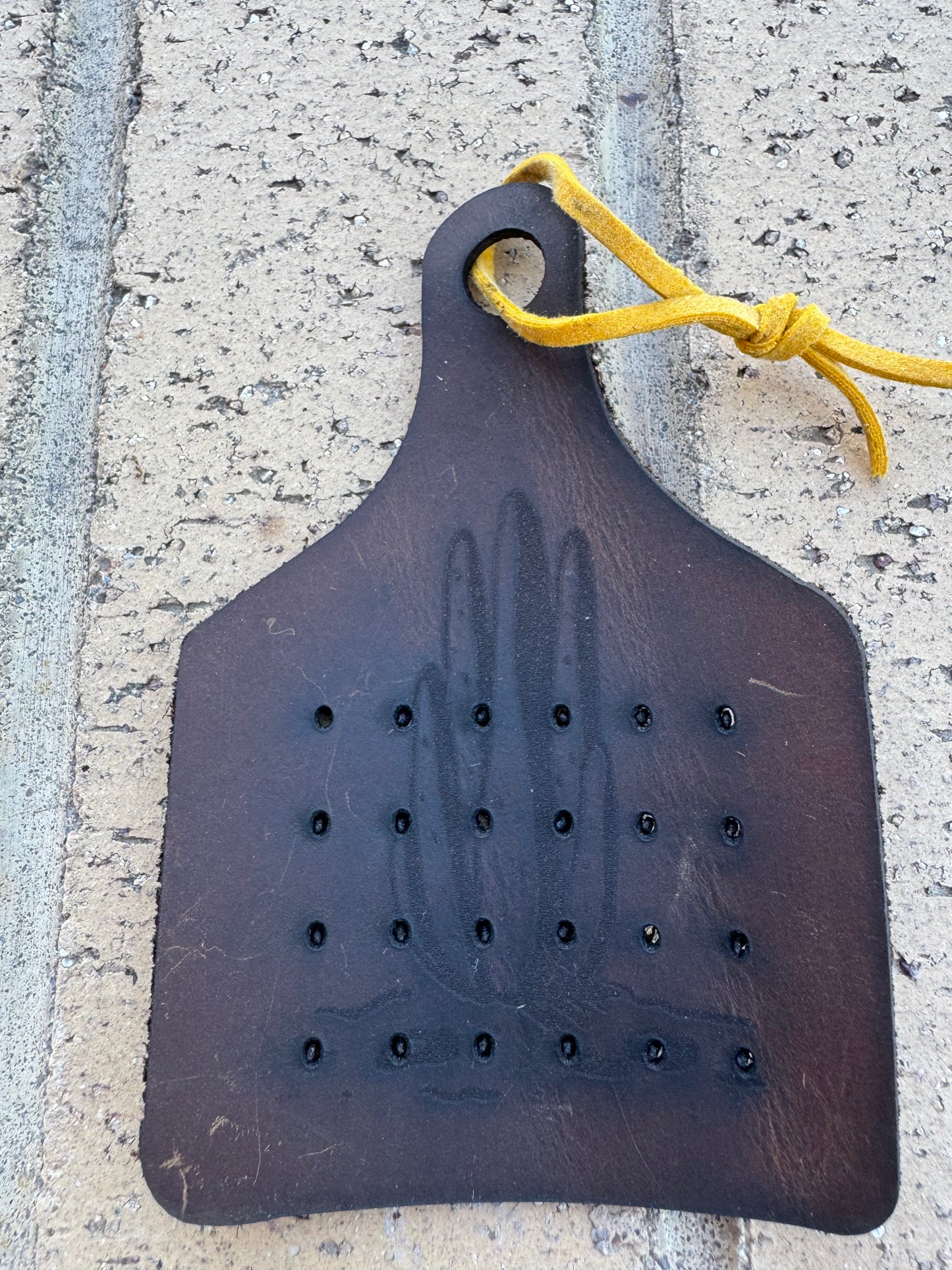 Earring Holder