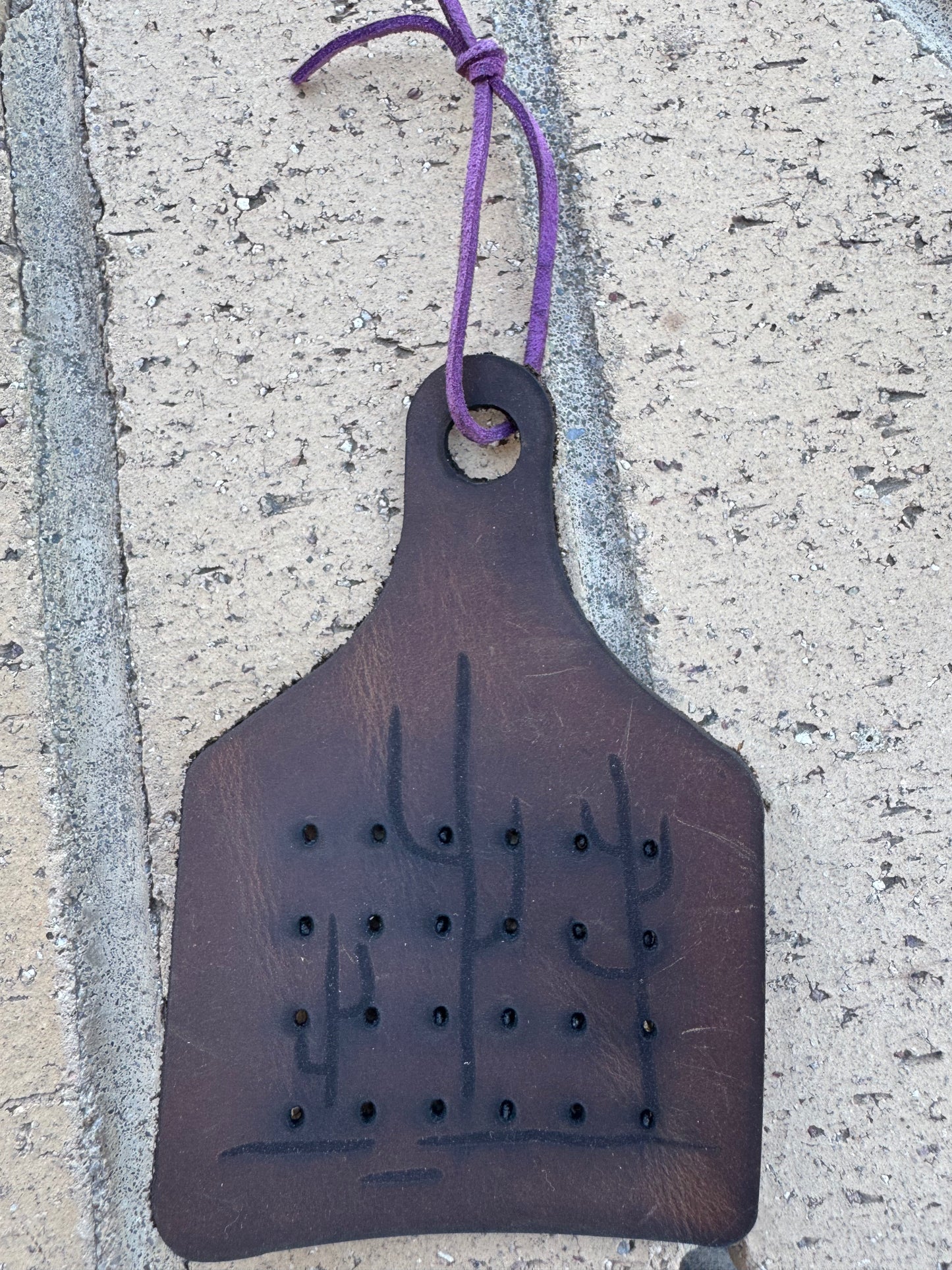 Earring Holder