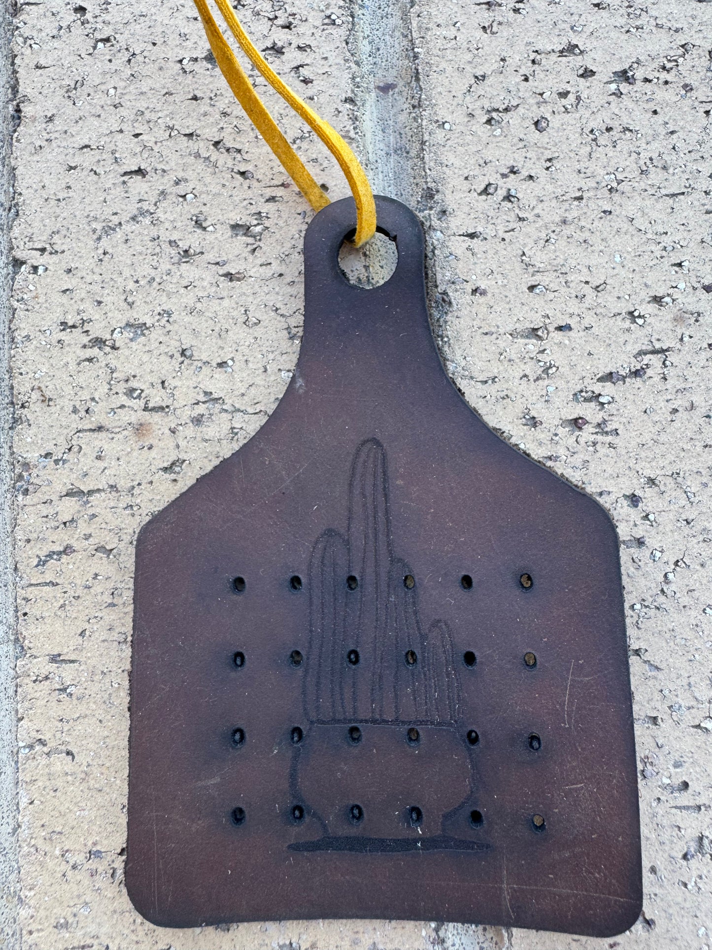 Earring Holder